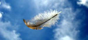 feather-in-the-wind