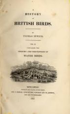 Beitish birds