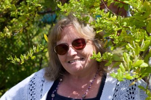 Author Callie's Xmas